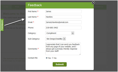 Feedback System